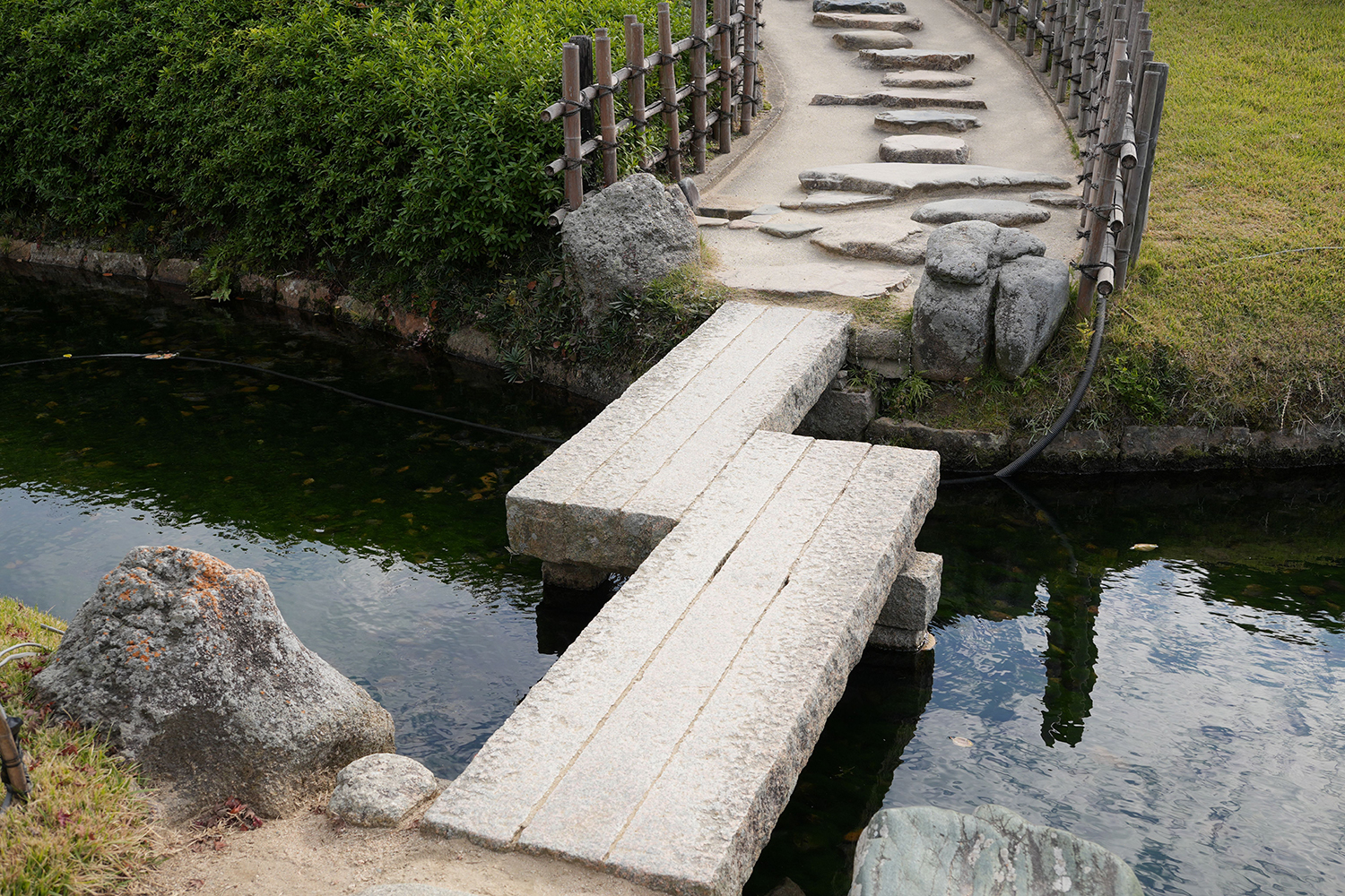 blog